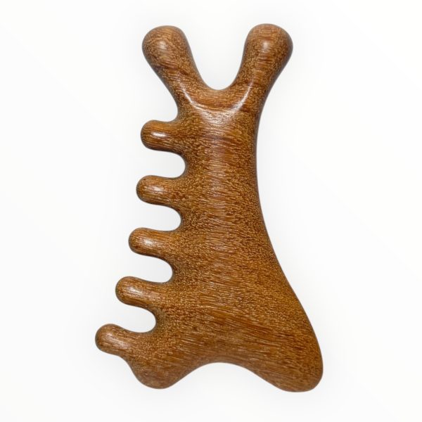 massage comb